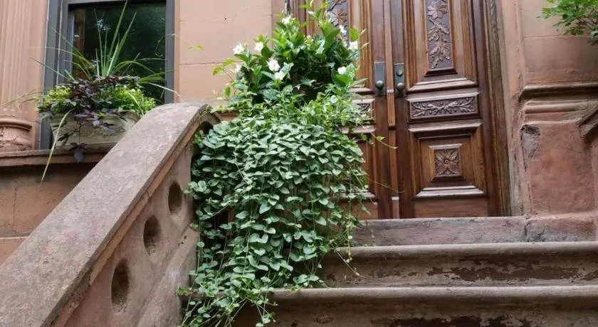 West 119th B&B - Image 1
