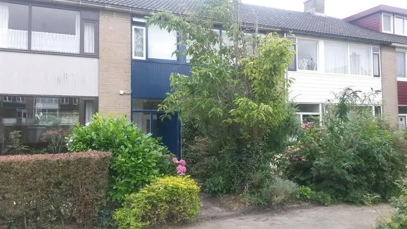 Teunisbloem - Image 1