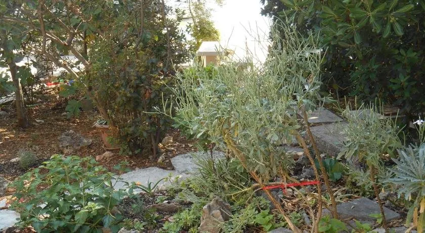 Apartment Marija - Image 1