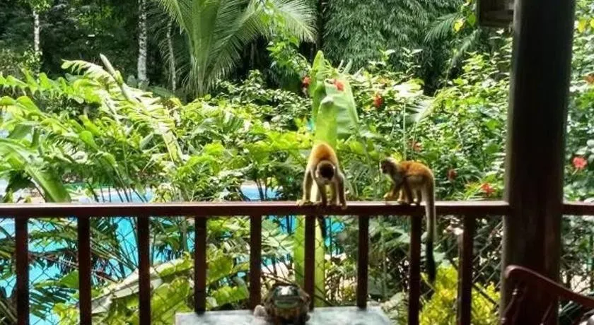 Manuel Antonio Park House - Image 1