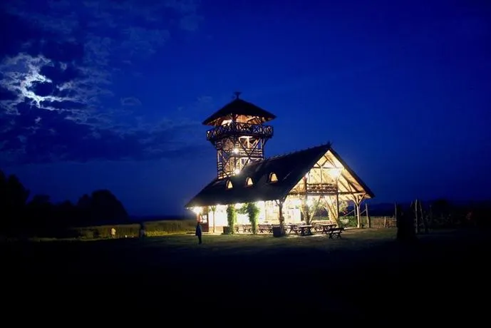 Guest House Zasavica - Image 1