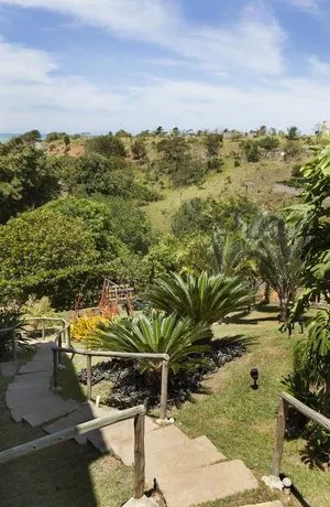 Orquídea Café - Image 1