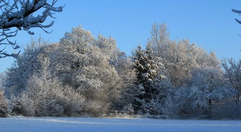 Roder am Eifelsteig - Image 1