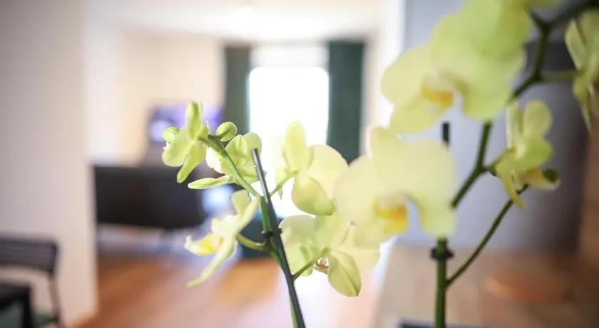 BRIGHT - Stylish apartment - Kitchen - Parking - Netflix - Image 1