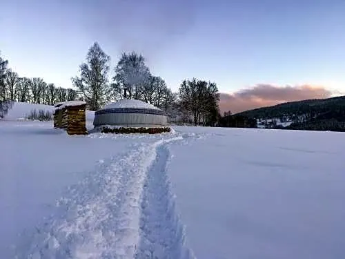 Yurt Jurticka - Image 1