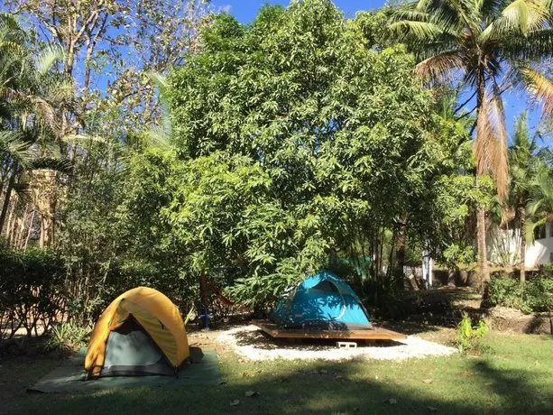 Nosarananda - Image 1