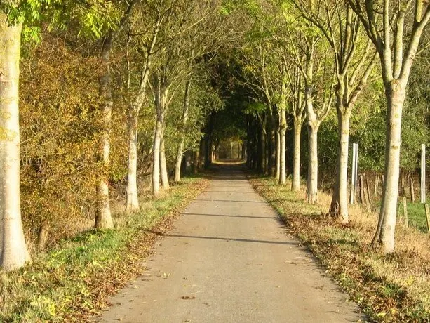 A3's Home - Image 1