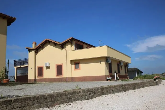 Grappoli di Sole - Image 1