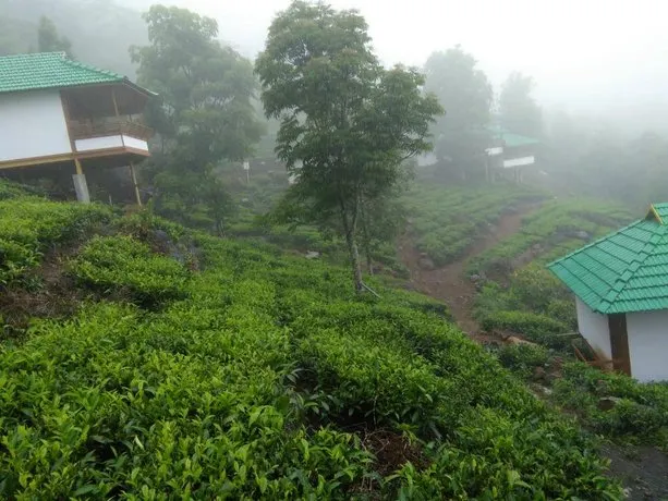 Vythiri Hills Resort - Image 1