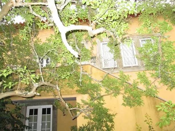 QUINTA DO PRADO - Image 1