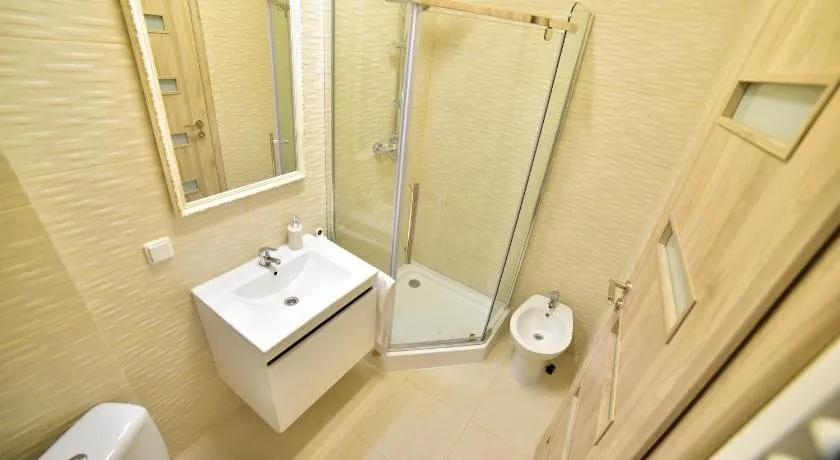 Sibiu City Residence - Image 1