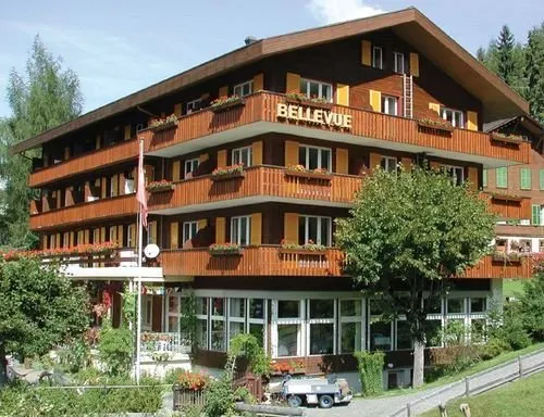 Hotel Bellevue Wengen - Image 1