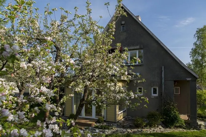 Kaevu Holiday House - Image 1