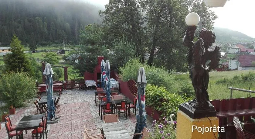 Flori De Bucovina - Image 1