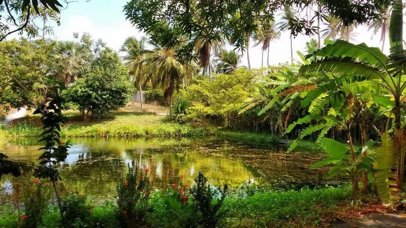 CONDOMíNIO MANGO VILLAGE - Image 1