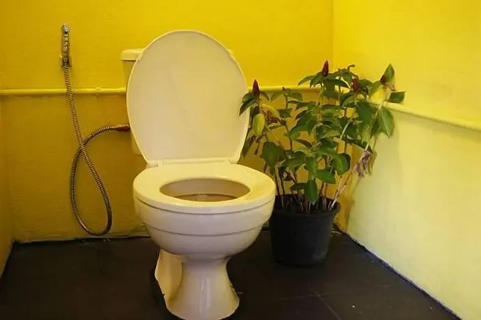 Dorm Des Fleurs Hostel - Image 1