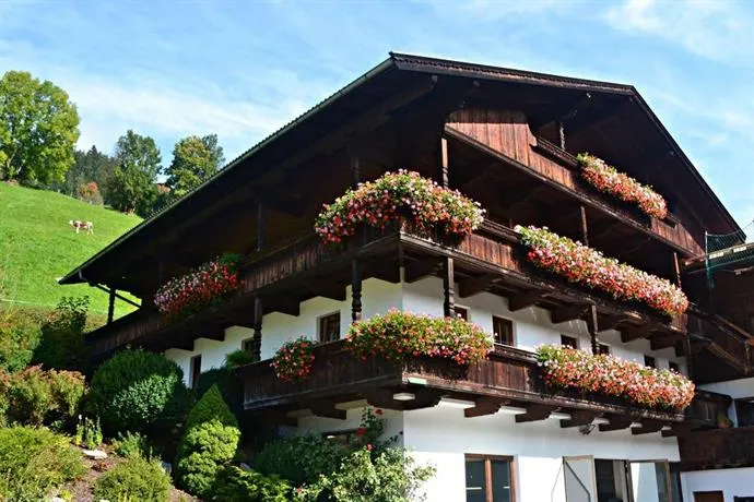 Appartements Zellner - Image 1
