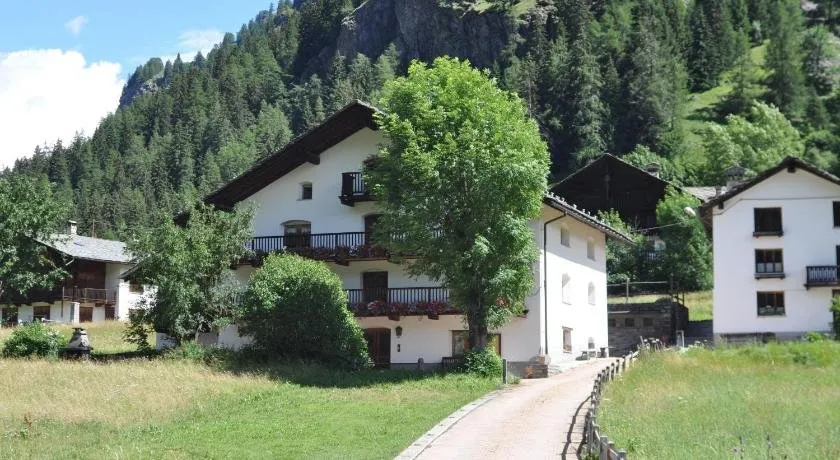 Flora Alpina apartments-Residenza Verdebjo - Image 1