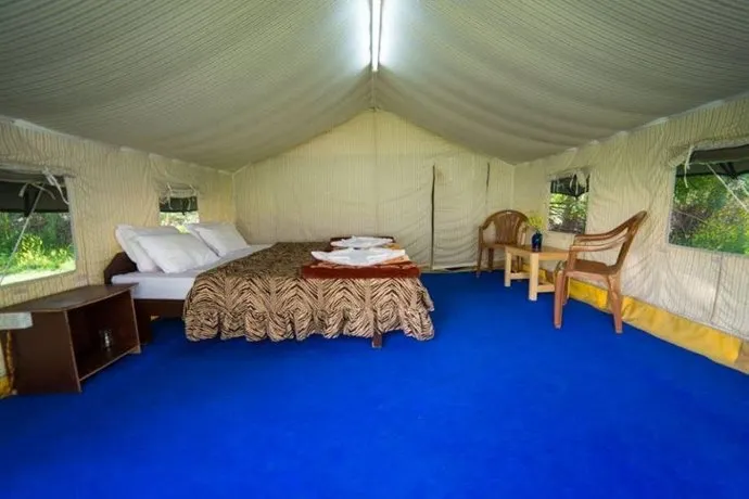 Desert Oasis Camp - Image 1