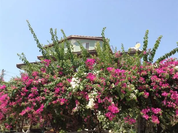 Mina Evleri - Image 1
