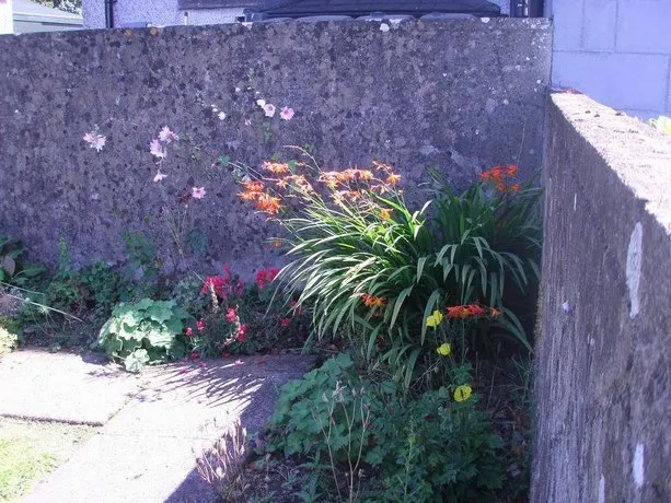 Glebe House Country Bed & Breakfast - Image 1