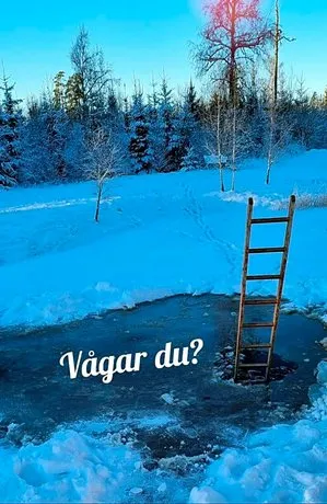 Bjorkedal - Image 1