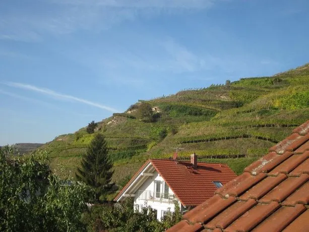 Weingut & Straußwirtschaft Vogel - Image 1