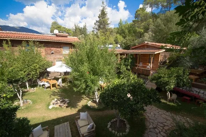 Olympos Baykus Lodge - Image 1