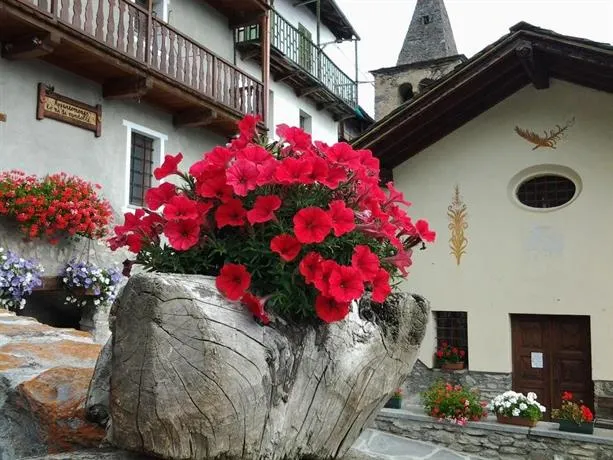 Lo Ni di Candolle - Image 1