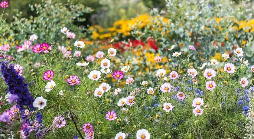 Unique cosy cottage with stunning gardens - Image 1