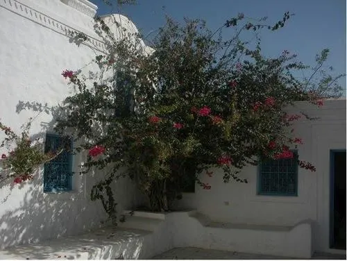 Dar Zina - Image 1