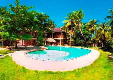 Purple Snapper Dive Resort - Hostel/Backpacker accommodation - Image 1