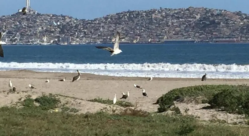 Sector Enjoy Premium Frente al Mar - Image 1