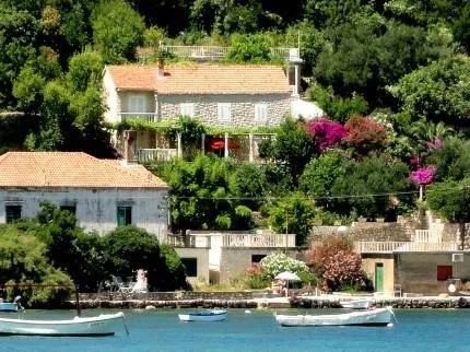 Apartments Tereza - Image 1