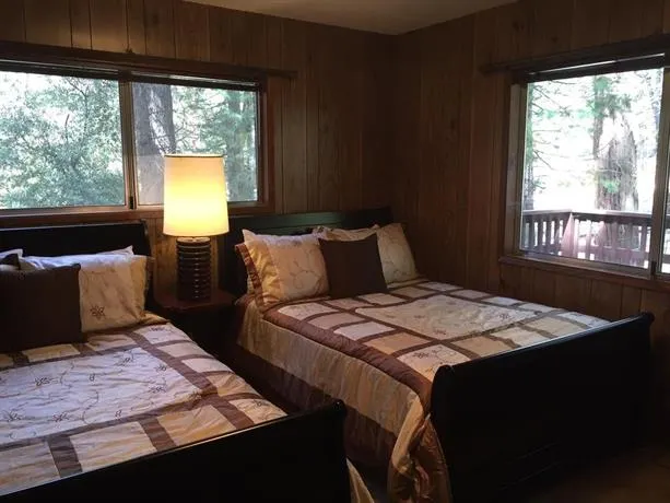 Scenic Wonders Papa Bear Cabin - Image 1
