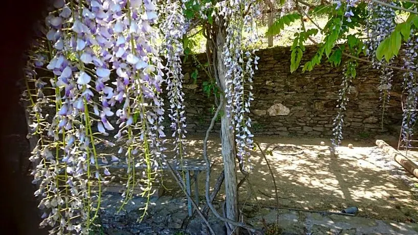 Le Mercou En Cevennes - Image 1