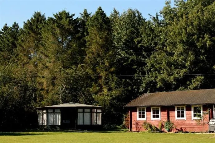 Woodland Lodge-Art Activ - Image 1
