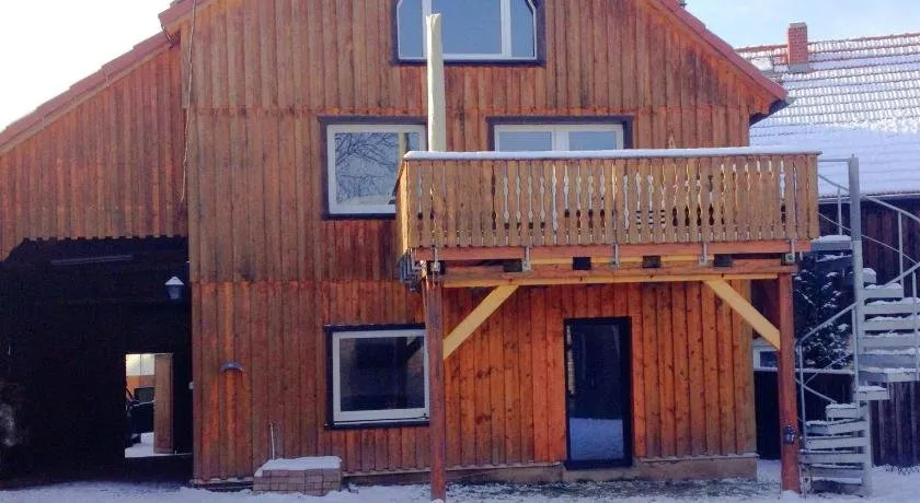 Cosy Ground Floor Flat in the Eastern Harz Region With Wood Stove and Private Terrace - Image 1