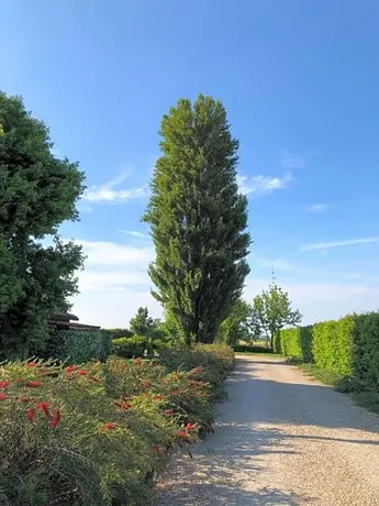 Via D' Este 8 - Image 1
