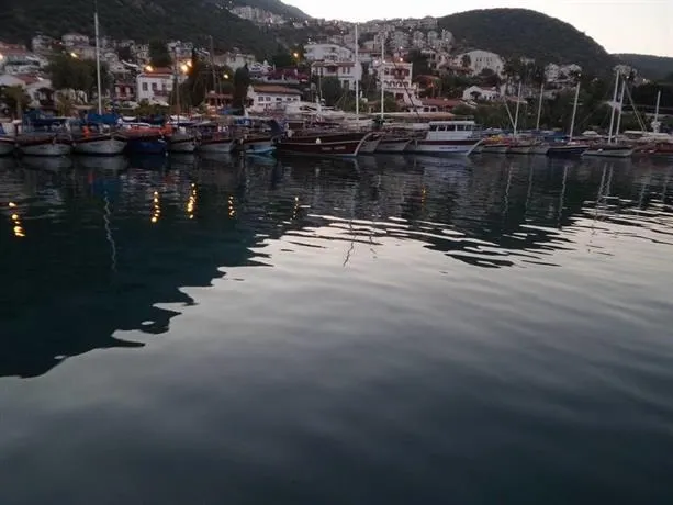 Home-Lu - Image 1