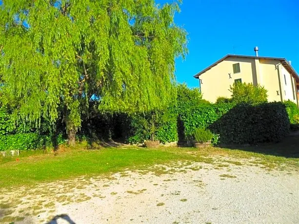 La Cinci Allegra - Image 1