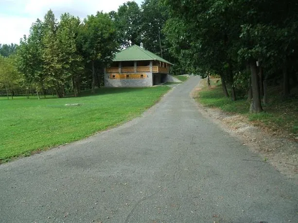 PLATáN VENDéGHáZ - Image 1