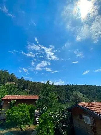 Casa Roja - Image 1
