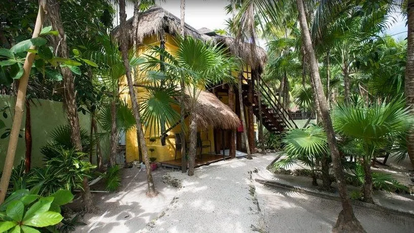 Las Palmas Maya - Image 1