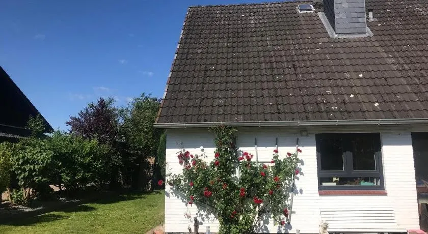 Fernsicht - Image 1