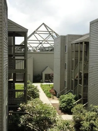 Pinnacle Inn Resort by VCI Real Estate Services - Image 1