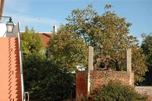 Patio da Avo Faustina - Image 1