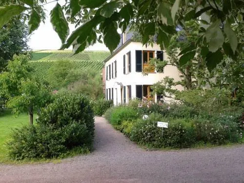 Weingut Schmitz-Simon - Image 1