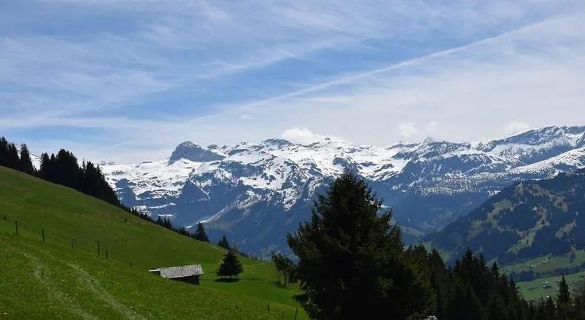 Apartment Alphütte Gibelhüttli CH3773.604.1 Lenk Bern Switzerland - Image 1
