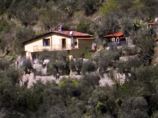 Villa Berio - Image 1